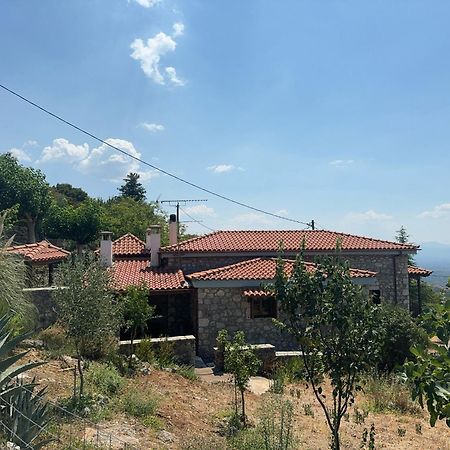 Terra Petra Villa At Psari Trikolonon Gortynia Psárion Eksteriør bilde